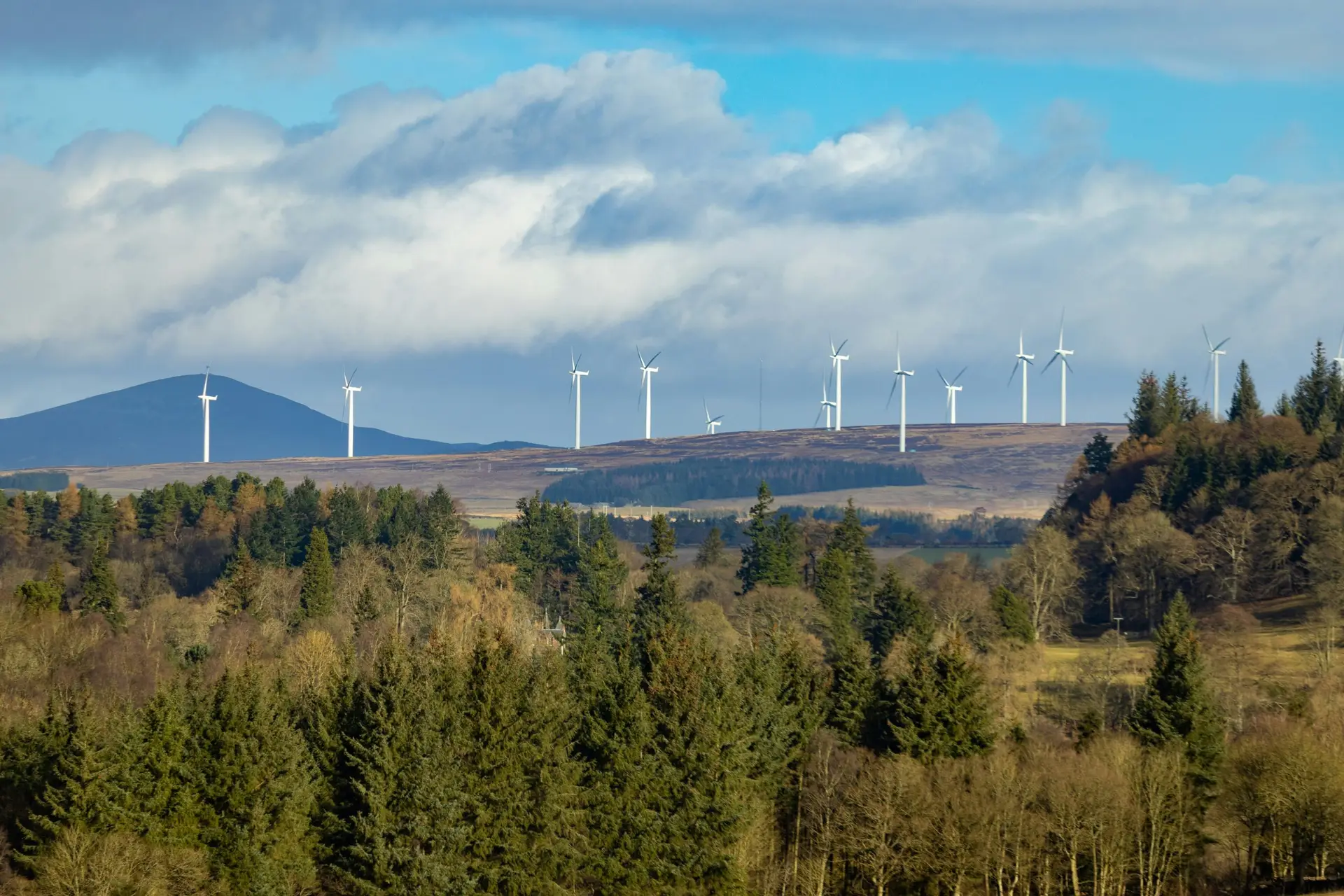 A line of wind turbines stands on a distant hill under a cloudy blue sky. In the foreground, a dense patch of trees creates a natural contrast. Peaceful ambiance.